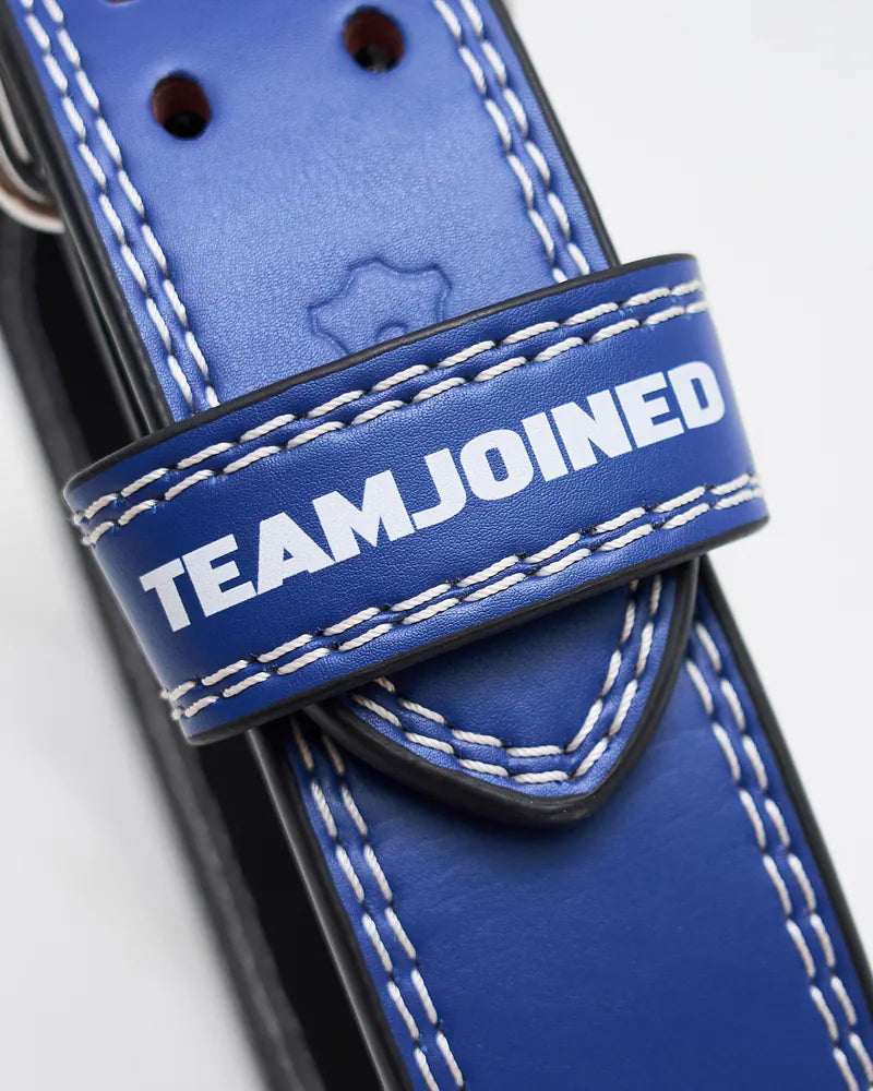 DragonBall Z Vegeta Weightlifting Belt